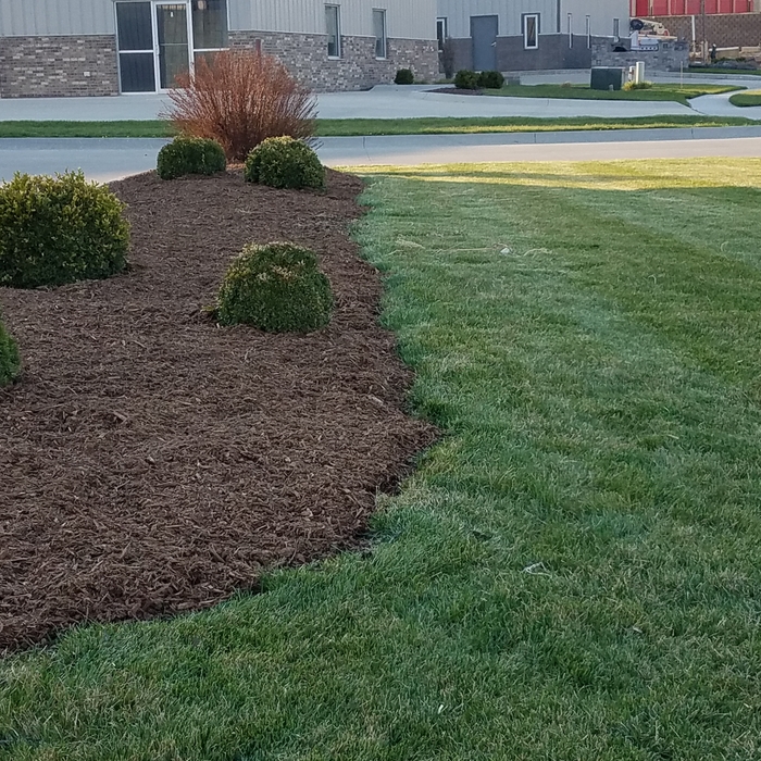 Magnum new mulch