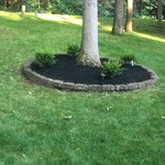 Mulch