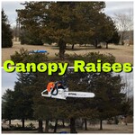 Cedar canopy raises