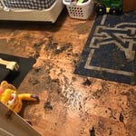 Sewage flood