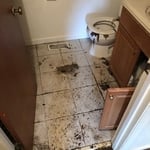 Sewage flood