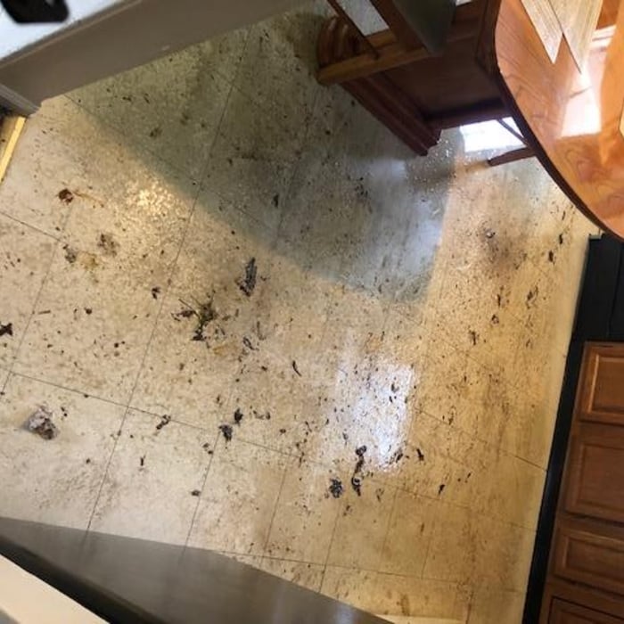 Sewage flood