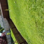 Stained Fence Australian Timber Oil