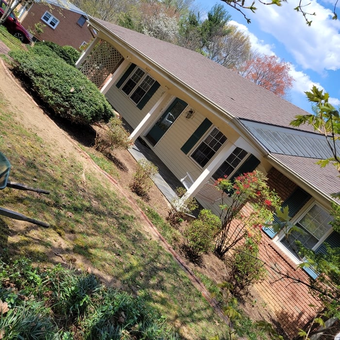 Re-Mulched and trimmed hedges