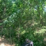 Land clearing