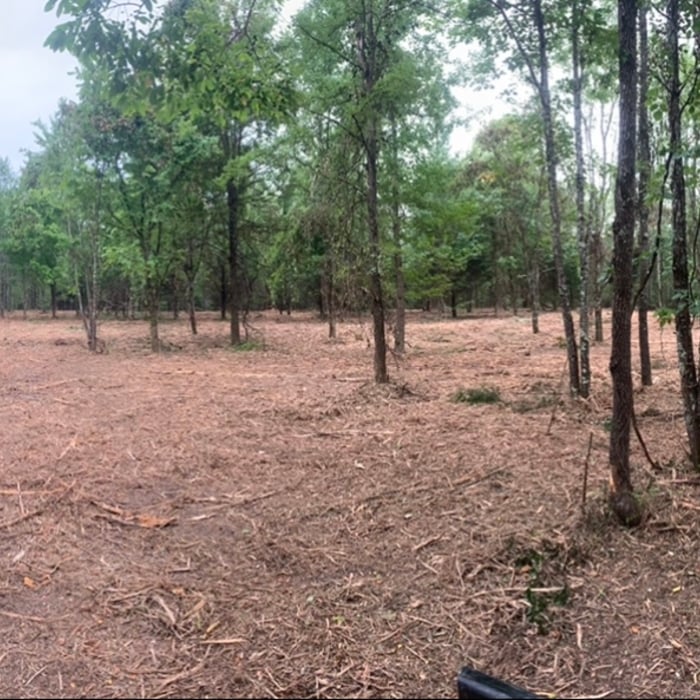 Land clearing