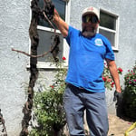Sewer Repairs