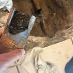 Sewer Repairs