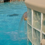 COSTOM POOL
