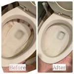 Toilet before and after