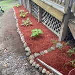 Landscaping Borders