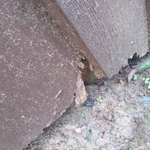 Siding Damage