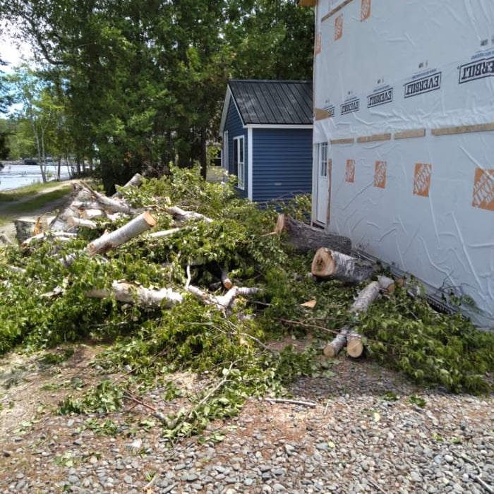 Lets take them tress down!