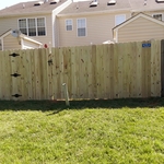 Dog Ear Picket