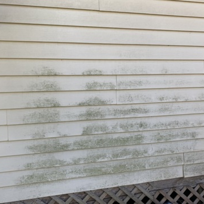 vinyl siding exterior