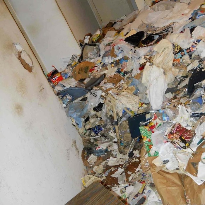 Hoarding Cleanup