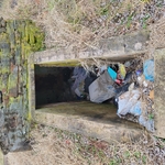 Cleanout