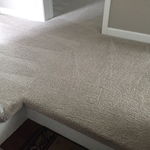 Carpet