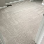 Carpet