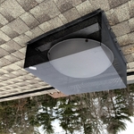 Protected roof vent