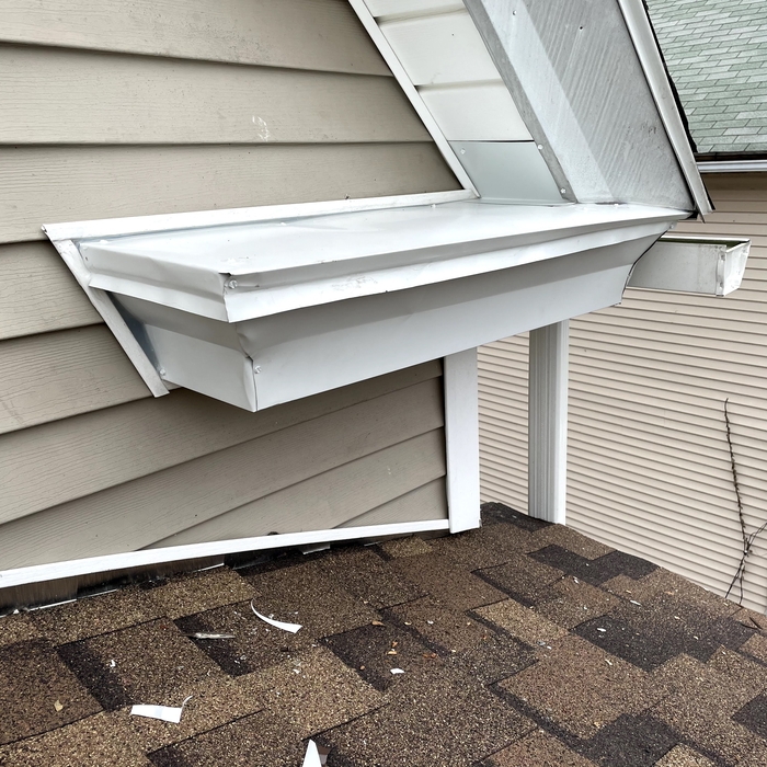 Gray Squirrel Damage Repair