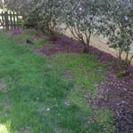 Modern Mulching W/ Edging