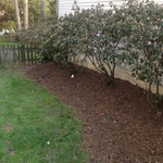 Modern Mulching W/ Edging