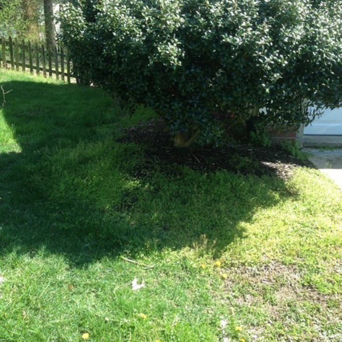 Modern Mulching W/ Edging