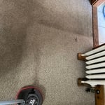 carpet Cleaning