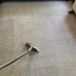carpet Cleaning