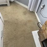 carpet Cleaning