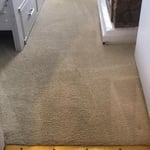 carpet Cleaning