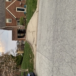 Driveway with borders