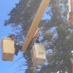 In Action 3