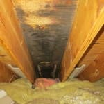 MOLD BEFORE 1