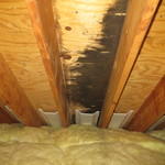 MOLD BEFORE 2