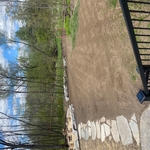 Back Yard Renovation