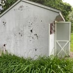 Shed Remodel Before