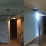 Mold Remediation