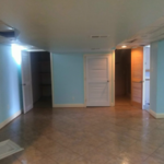 Mold Remediation