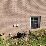 Old stump close to a house in Fayette County