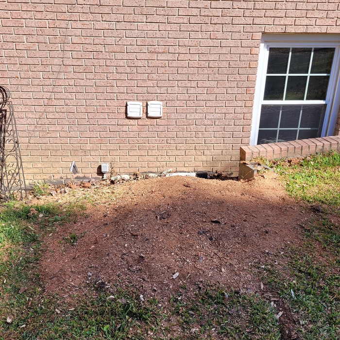 Finished stump close to house in Fayette Co.