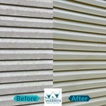Mold Removal