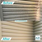 Mold Removal