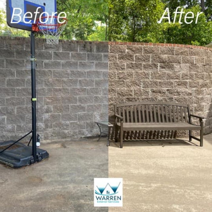 Mold Removal