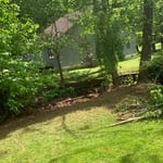 Creek side clean up