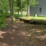 Creek side clean up