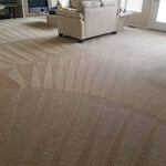 capet cleaning