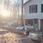 Oak Removal next to house