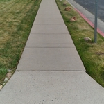 Pressure Washed Sidewalk